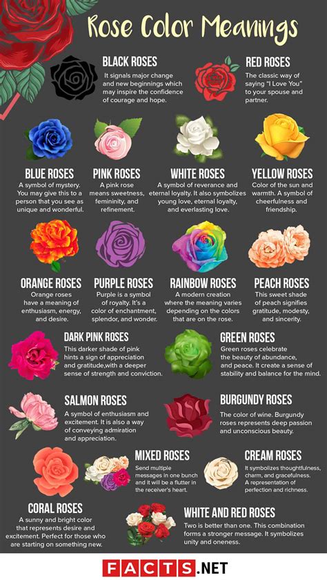 Secrets of Rose Symbolism: A Fascinating Exploration